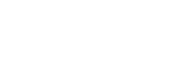 PawPets Store 